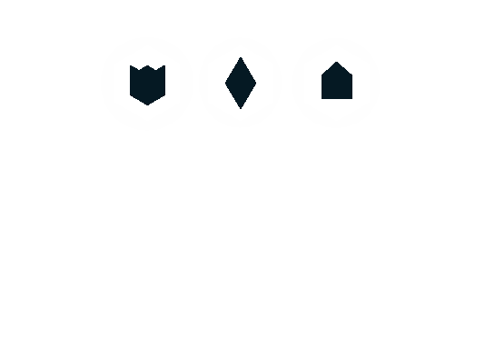 Panthera Finance