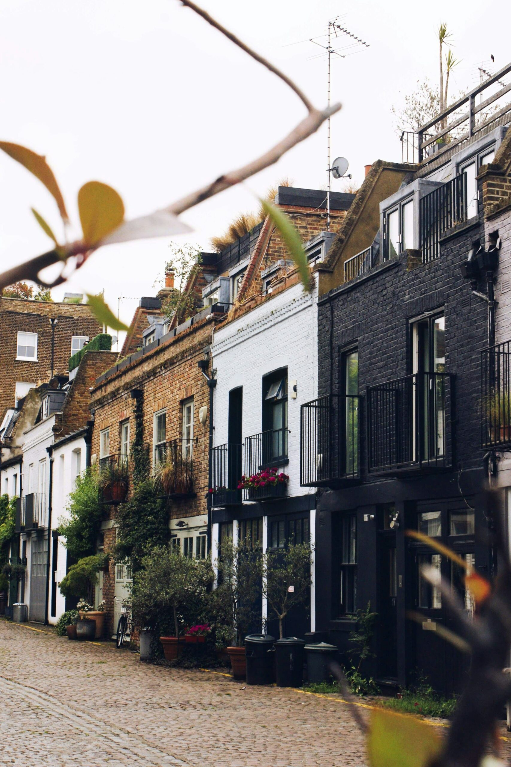 A photograph of mews houses, comprised of a a red brick, white and black house.