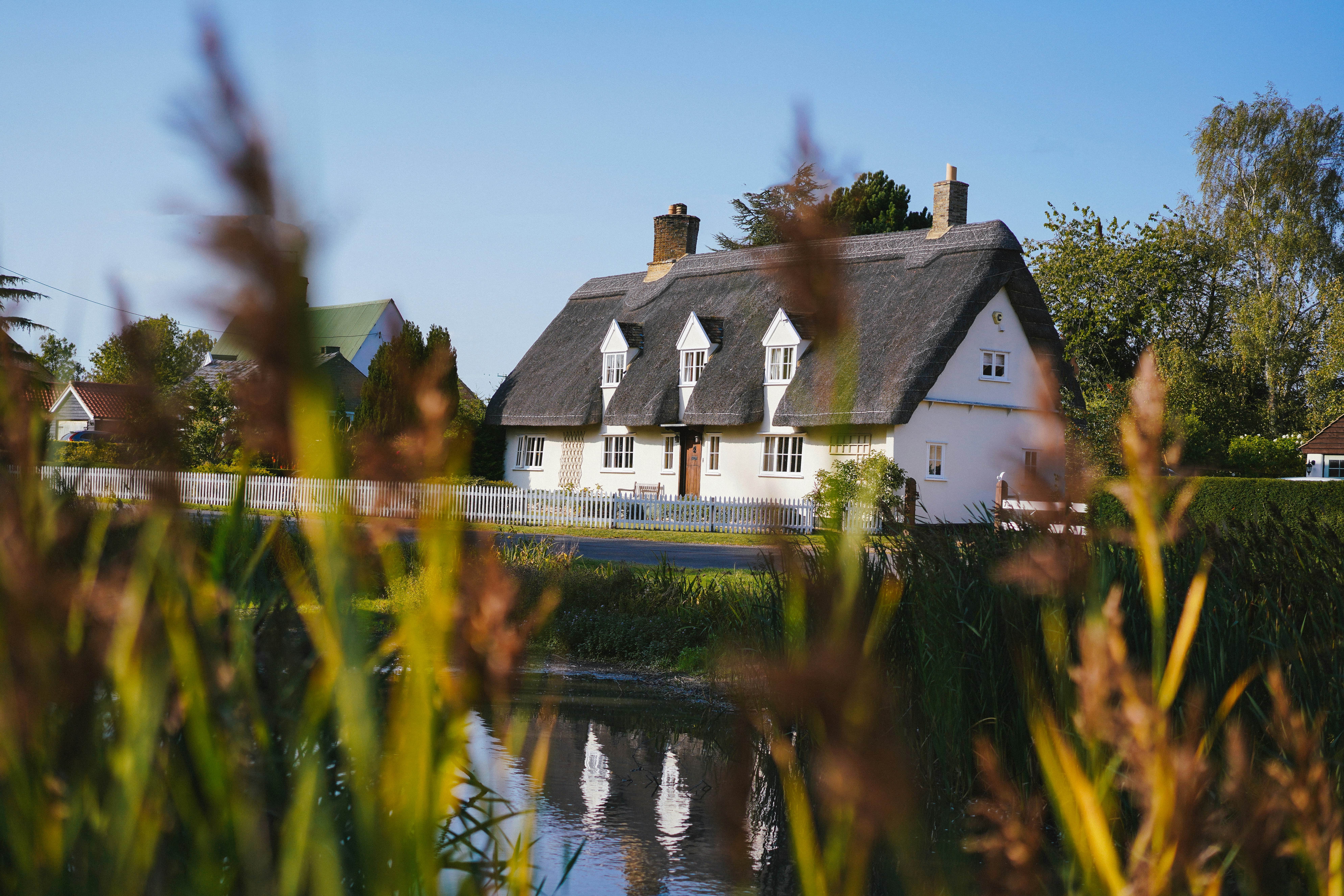 White country house surrounded by a pond and water plants.